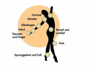 Orthopädie Peters Home 6 Bandagen und Orthesen und ihre Wirkstellen
